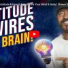 How and Why to Employ More Gratitude