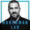 self development podcasts