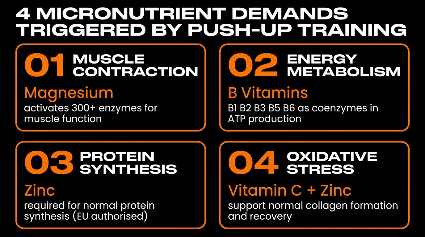 multivitamins push-up recovery