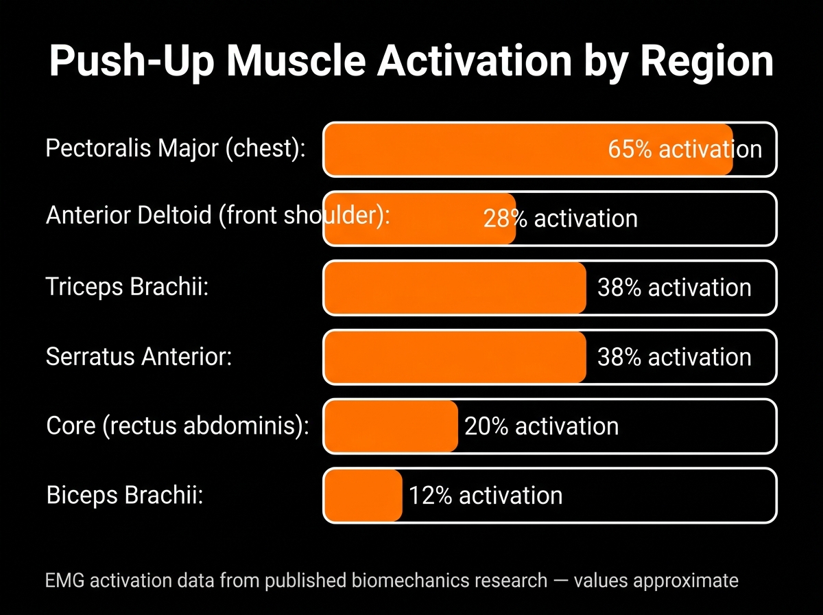 science of push-ups