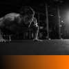 science of push-ups